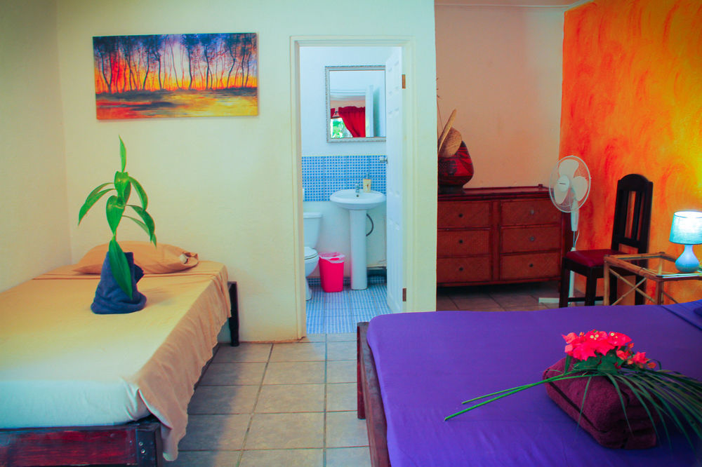 Pura Vida Hostel Tamarindo Ngoại thất bức ảnh